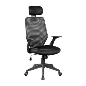 Ergonomic Mesh Office Chair