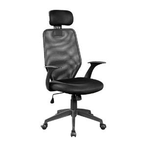Ergonomic Mesh Office Chair