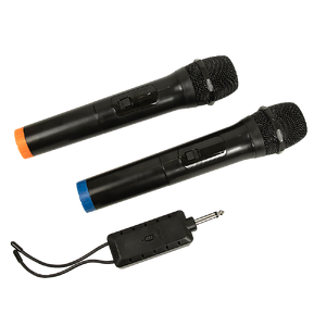 2 x Wireless Microphone Handheld Cordless Professional Mic Karaoke Receiver