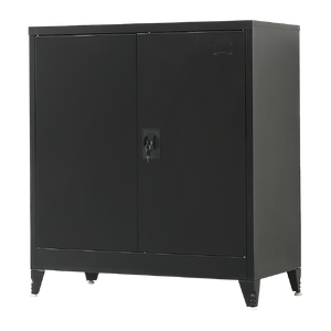 Two-Door Metal Short Cabinet Shelf Storage for Home Office Gym