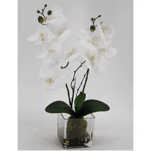 Artificial Orchid in Glass Pot 10 x 45 cm