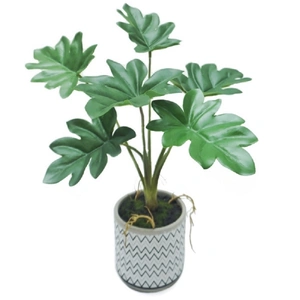Artificial Philodendron In Ceramic Pot 7x31cm