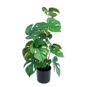 Artificial Monstera In Plastic Pot 10x26cm