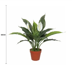 Artificial Spathiphyllum Peace Lily Plant with White Flowers 60cm