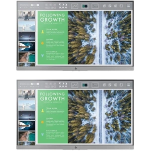 (Refurbished) E243 2 Units 23.8" LED LCD Monitor (No Stand)