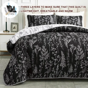 Cultured Quilted Coverlet and Pillowcases Set: Style Meets Functionality - Queen