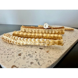 1x Just Shark Cartilage