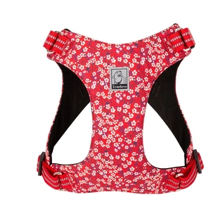  Floral Doggy Harness - Red, XS
