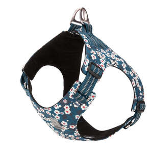  Floral Doggy Harness - Blue, XL