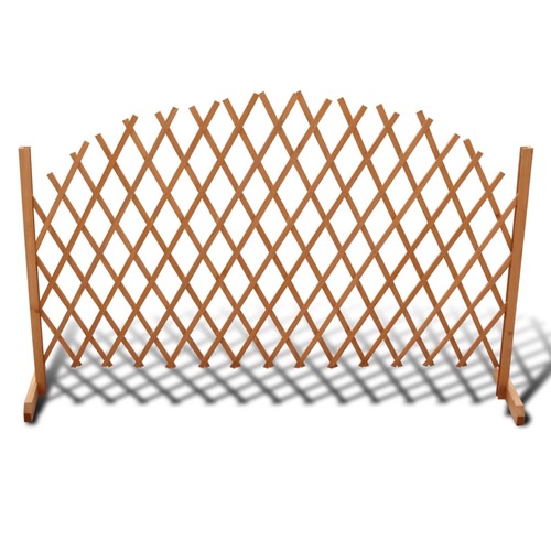 Trellis Fence Solid Wood 180x100 cm