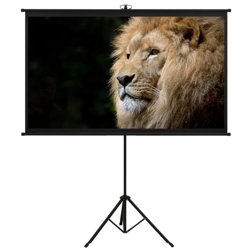 Projection Screen with Tripod 50" 16:9