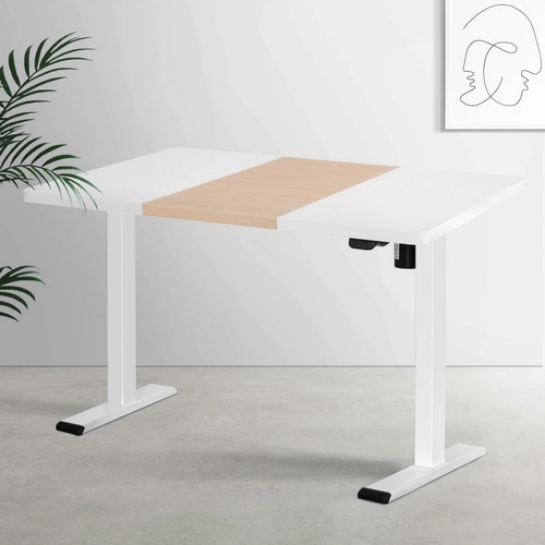 Standing Desk Motorised Sit Stand Desks 120CM