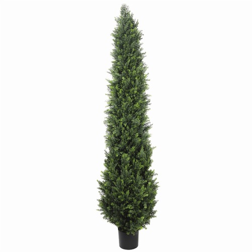 UV Resistant Cypress Pine Tree