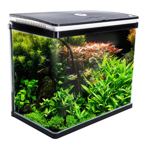 Dynamic Power Aquarium Fish Tank Curved Glass RGB LED