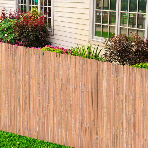 Bamboo Fence