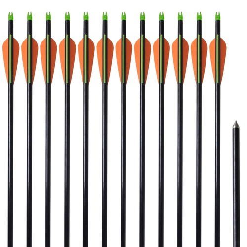 Standard Compound Bow Arrows 30" Fiberglass 12 pcs