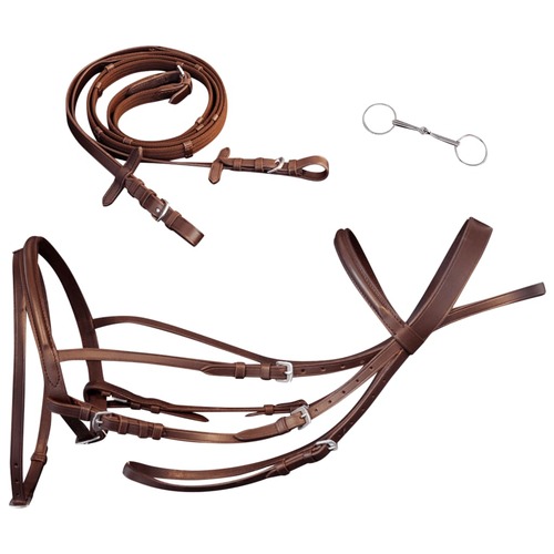 Leather Flash Bridle with Reins and Bit
