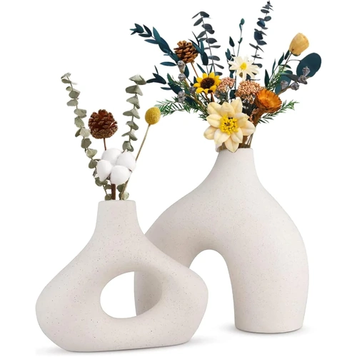Ceramic Modern Vases for Home D?cor