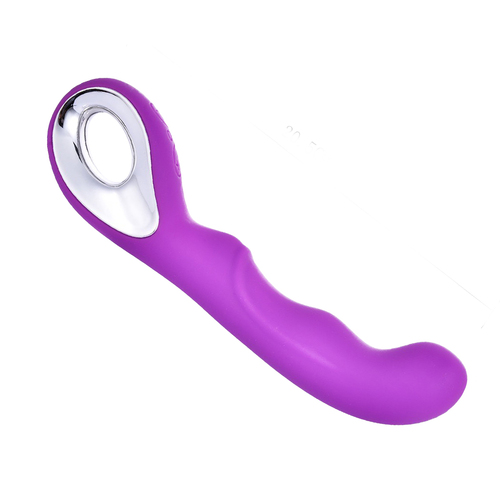 10 Speed Vibrator Bullet Vibrating USB Massager Wand Female Adult Sex Toy Purple