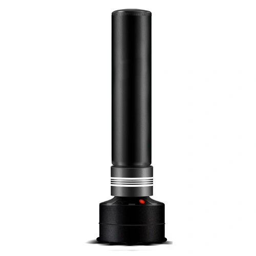 Standing Boxing Bag Punch Training for Adults Kids 170cm