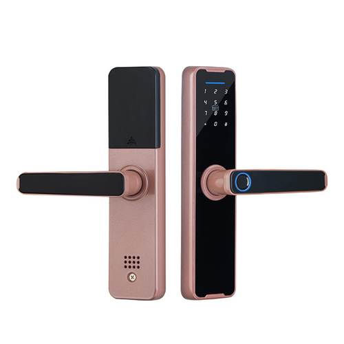 Tuya Home WIFI Smart Door Lock Biometric Fingerprint Smart Card Password Key USB