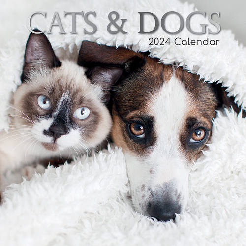 Cats & Dogs - 2024 Square Wall Calendar Pets Animals 16 Months Premium Planner