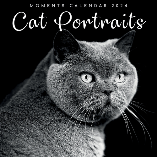 Cat Portraits - 2024 Square Wall Calendar 16 Months Black & White Planner Gift