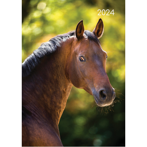 Horses - 2024 A5 Padded Cover Diary Premium Planner Book Christmas New Year Gift
