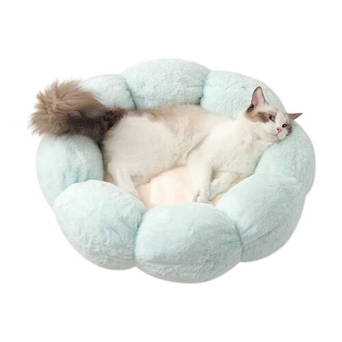 Anti Skid Cute Cat Bed for Cats and Small Dogs-Light Green-L