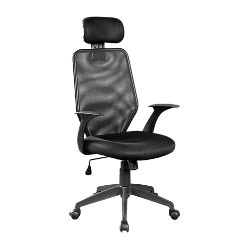 Ergonomic Mesh Office Chair