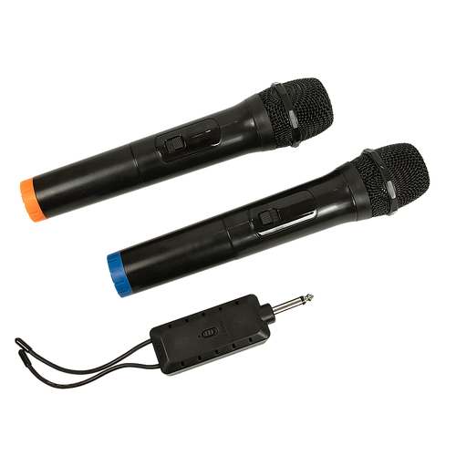 2 x Wireless Microphone Handheld Cordless Professional Mic Karaoke Receiver