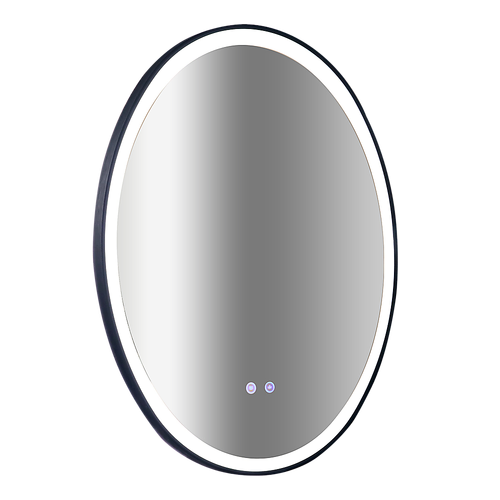 Oval Mirror LED Anti-Fog Illuminated Bathroom Living Room