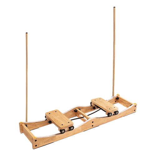 Ski Machine W/ Handrails