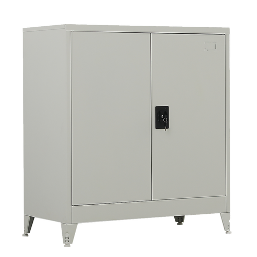 Two-Door Metal Short Cabinet Shelf Storage for Home Office Gym