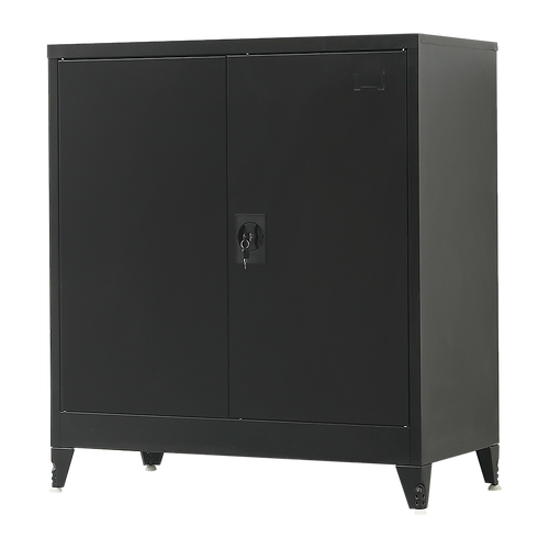 Two-Door Metal Short Cabinet Shelf Storage for Home Office Gym