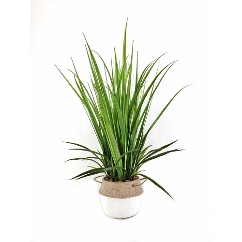 Artificial Grass in Cement Pot 76cm