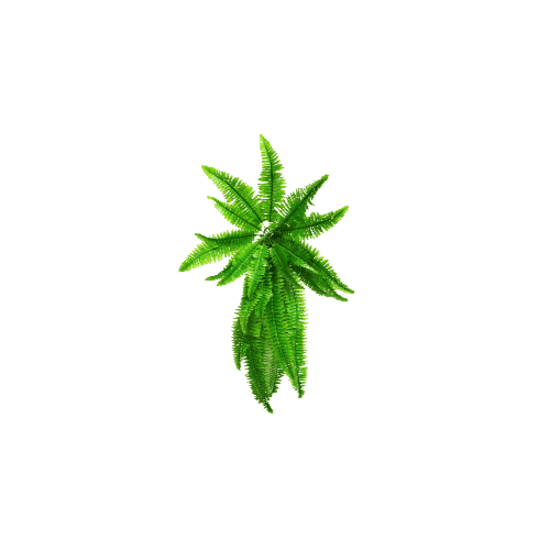 Artificial Boston Hanging Fern 102cm