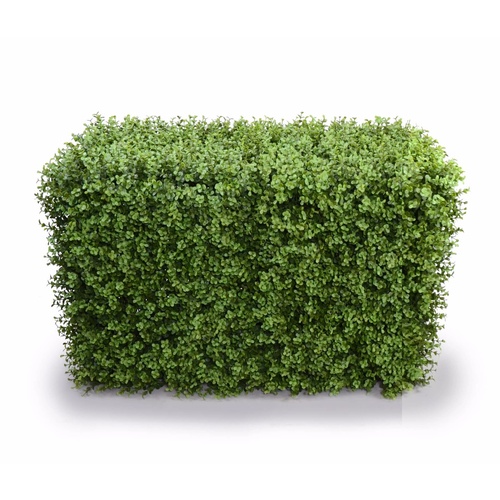 Deluxe Portable Buxus Hedges UV Stabilised 100cm Long X 55cm High