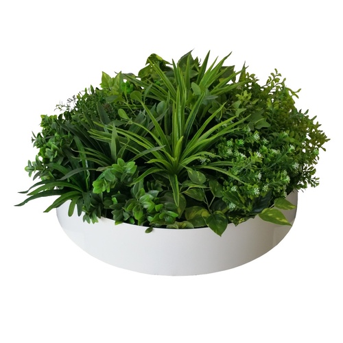 Artificial Green Wall Disc Art 60cm Philodendron (Fresh White)