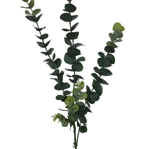 5 Pack - Long Eucalyptus Stem 77 cm
